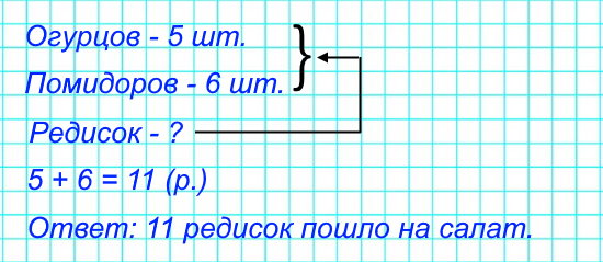 1. На салат пошло 5 огурцов, 6 помидоров, а редисок столько, сколько огурцов и помидоров вместе. Сколько редисок пошло на салат?