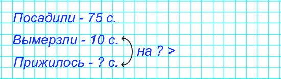 3. Из посаженных в парке 75 саженцев зимой вымерзло 10. Сколько саженцев прижилось? На сколько больше саженцев прижилось, чем вымерзло?