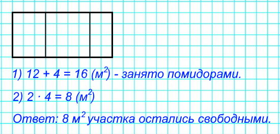 Начерти план участка прямоугольной формы со сторонами 4 м и 9 м, изображая 1 м одной клеткой. Покажи на плане, что огурцами занято 12 м, а помидорами – на 4 м больше, чем огурцами. Сколько квадратных метров участка остались свободными?