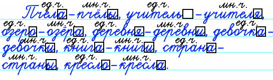 Спишите. Над именами существительными укажите их число. Выделите окончания.